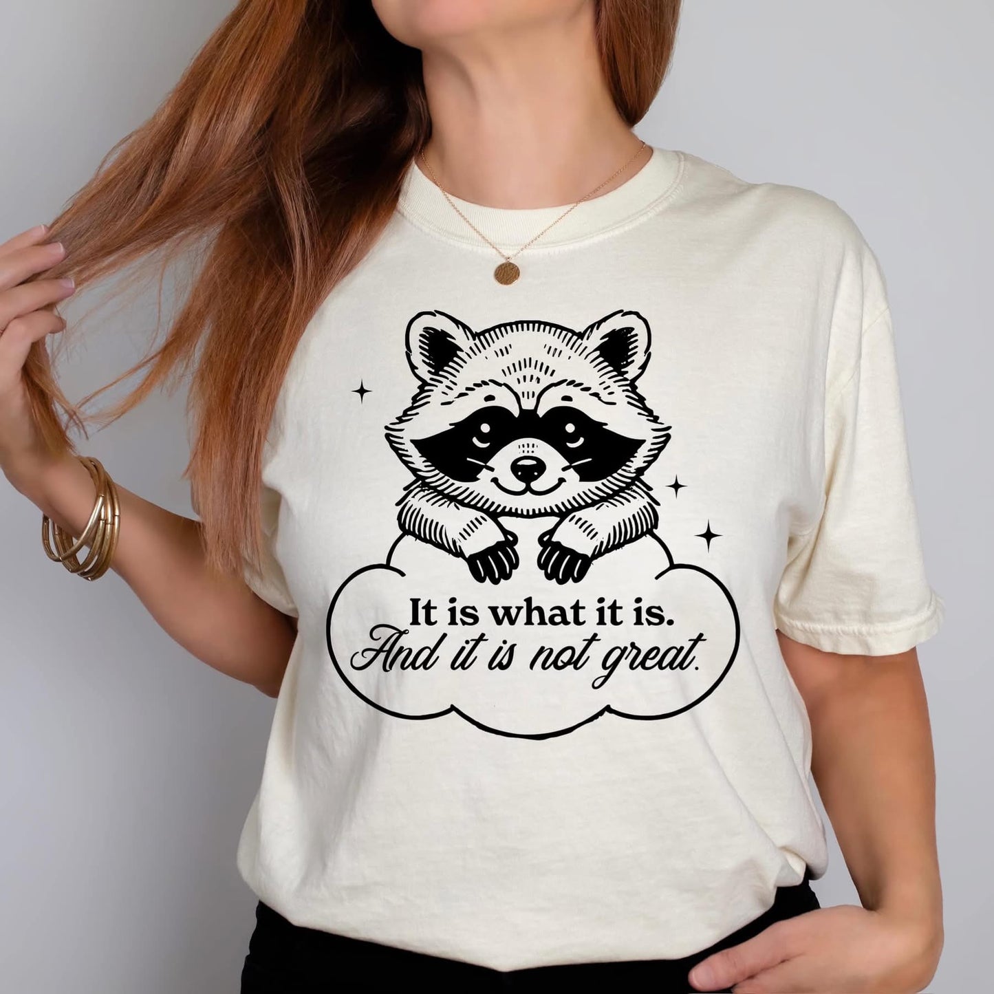 Is What It Is Racoon