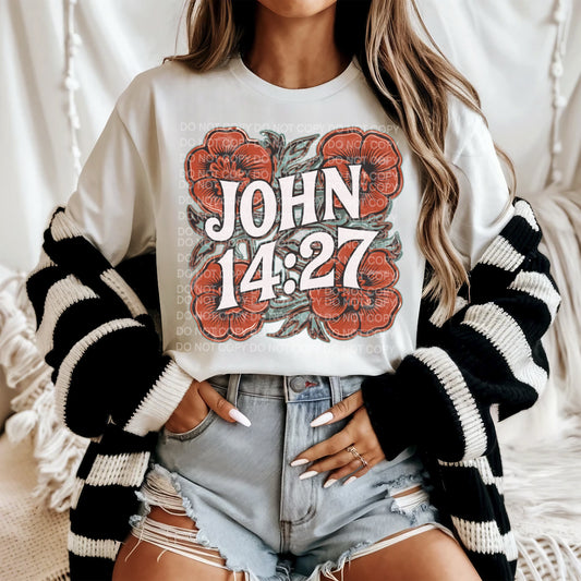 John 14:27